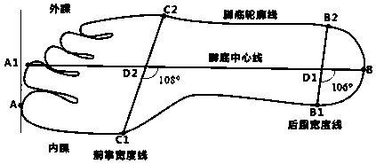 Method and system for foot characteristic parameter to drive standard shoe tree to deform