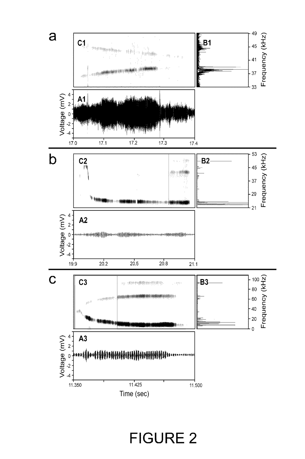 Methods and apparatus for attracting rats