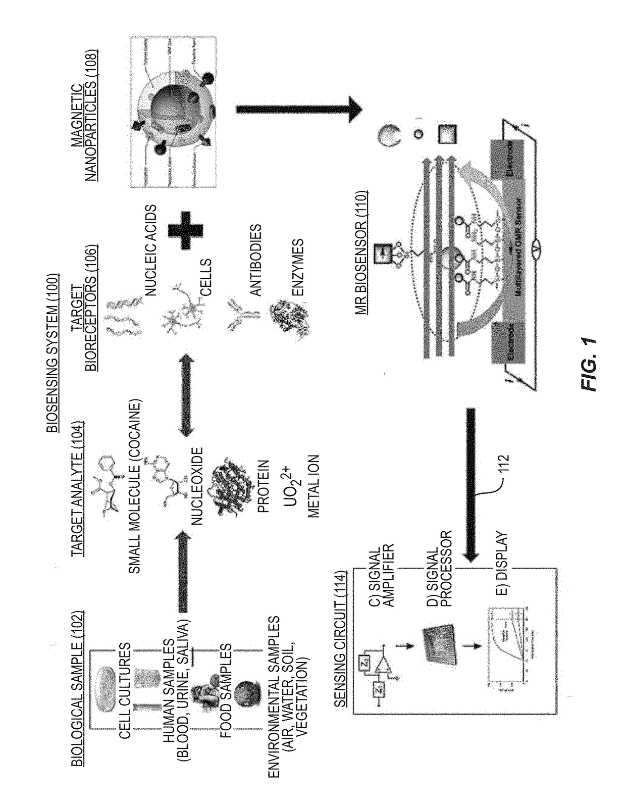 Tunnel magneto-resistive (TMR) sensors employing tmr devices with different magnetic field sensitivities for increased detection sensitivity