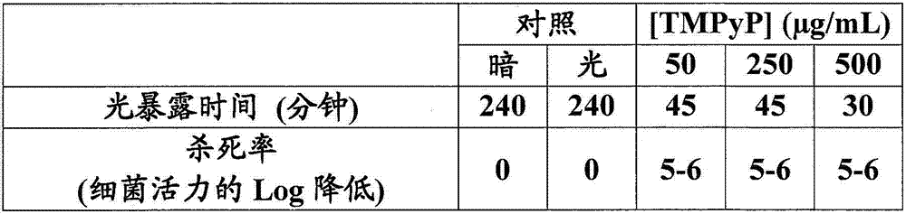 Active oxygen disinfection system and use thereof