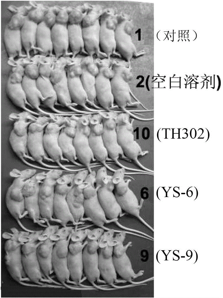 Antitumor prodrug, activator, composition, and application thereof