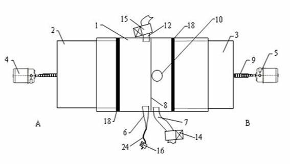 Sample introduction method and sample introduction device for microfluidics detection of fish-farming water environment