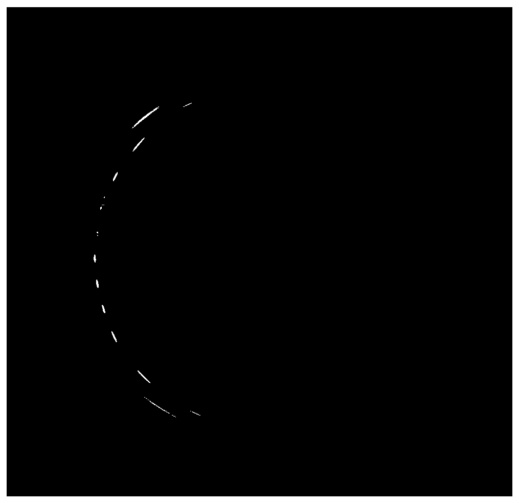 Heavy metal resistant bacteria and application thereof