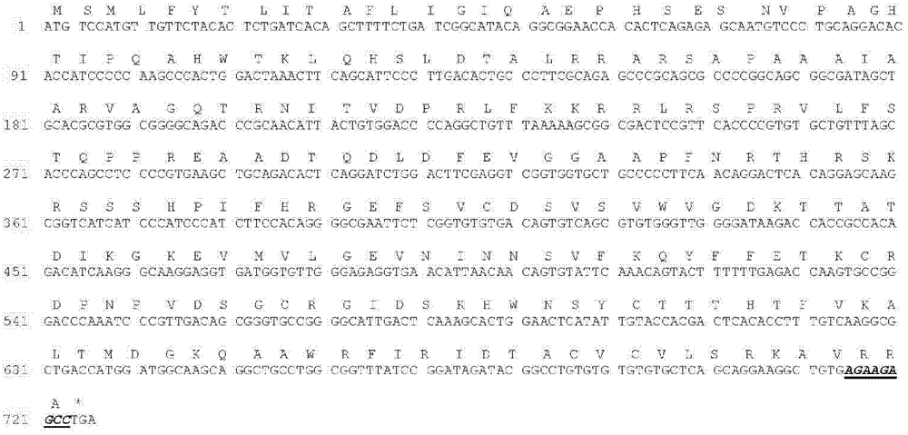 Recombinant human nerve growth factor deletion mutant, its preparation method and application