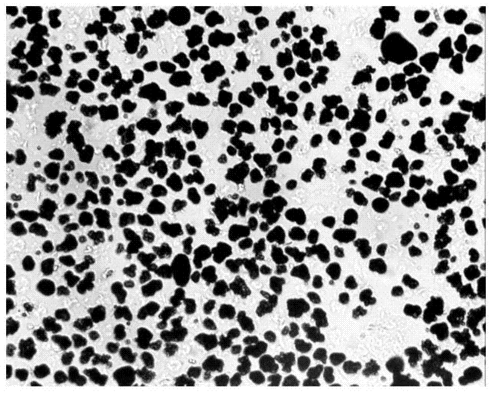 Method for preparing chemical carbon powder by coagulation on basis of modified latex particles and modified pigment emulsion