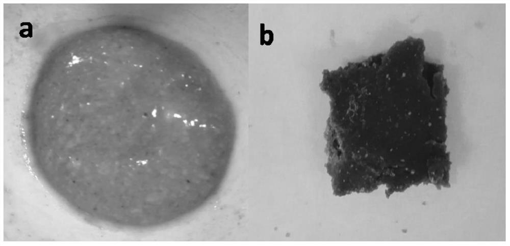 Method for preparing high polymer by dissolving fermentation bacteria residue in ionic liquid solvent system