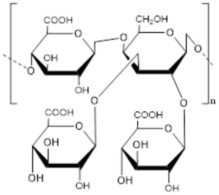 Dendrobium nobile pharmaceutical composition and application of dendrobium nobile pharmaceutical composition in toothpaste