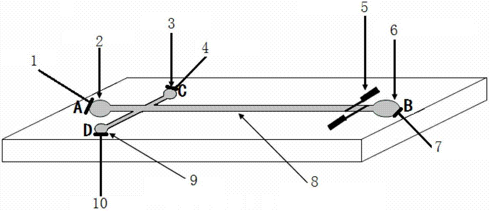 Hand-operated air pressure sample introduction method for microfluidic chips