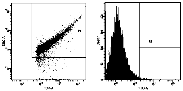 A kind of preparation method of recombinant porcine epidemic diarrhea virus antibody