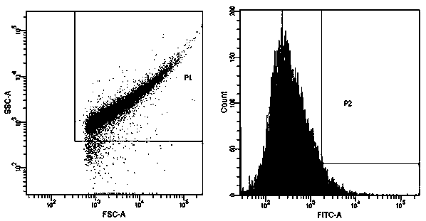 A kind of preparation method of recombinant porcine epidemic diarrhea virus antibody