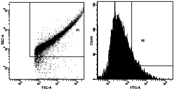 A kind of preparation method of recombinant porcine epidemic diarrhea virus antibody