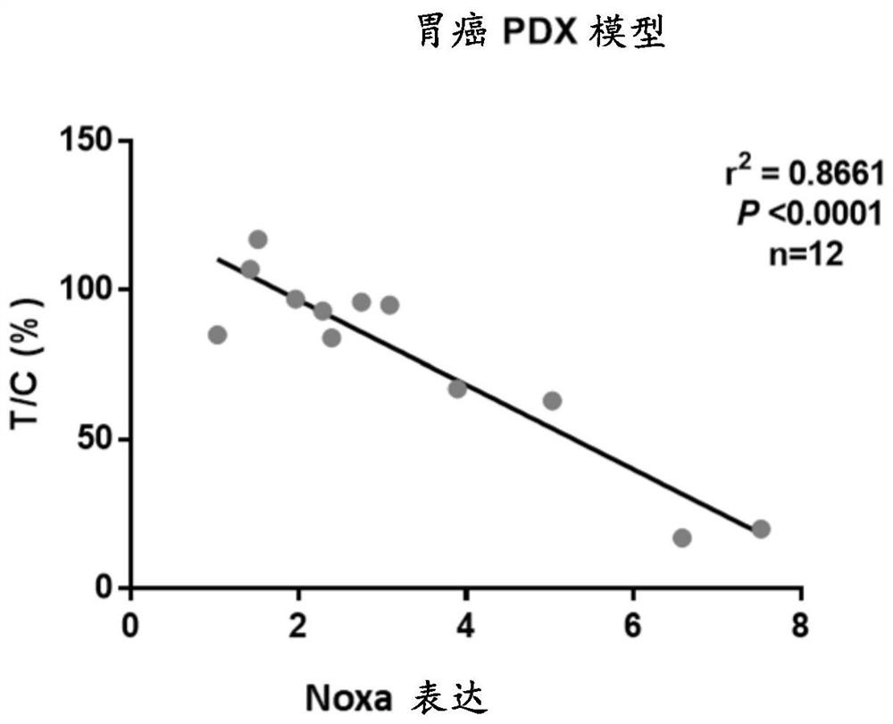 Method for predicting anti-cancer efficacy of compound targeting apoptosis pathway and composition