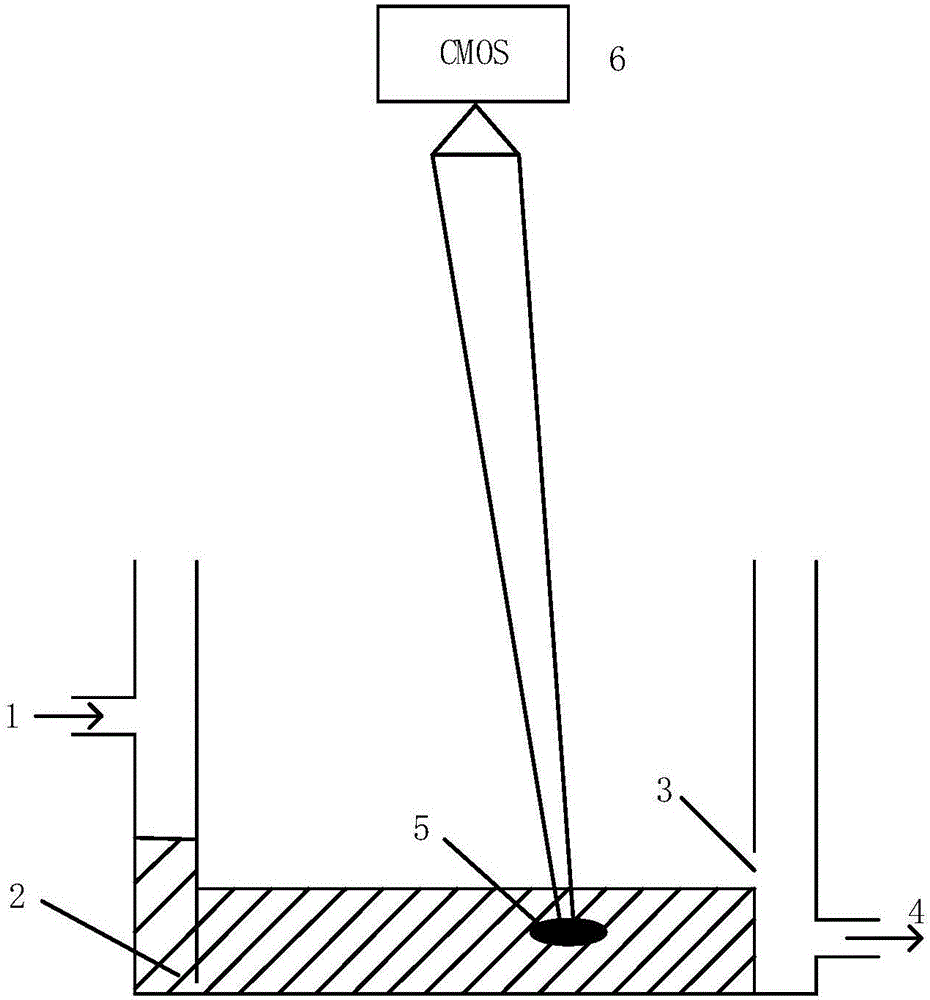 Water quality toxicity detection method based on fish activity analysis