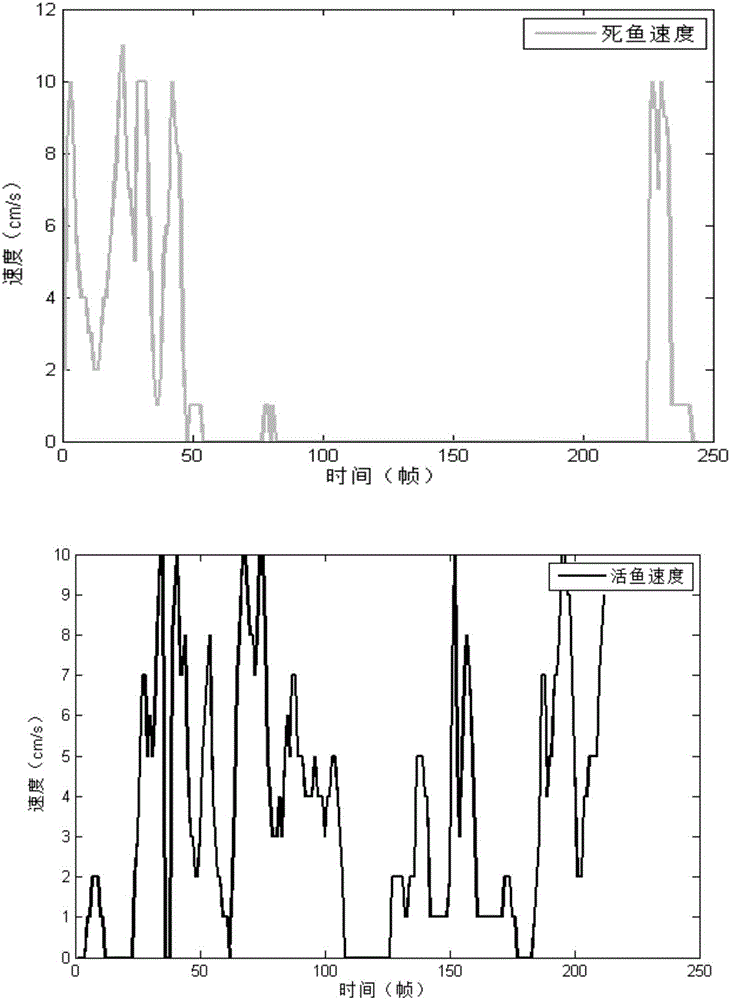 Water quality toxicity detection method based on fish activity analysis