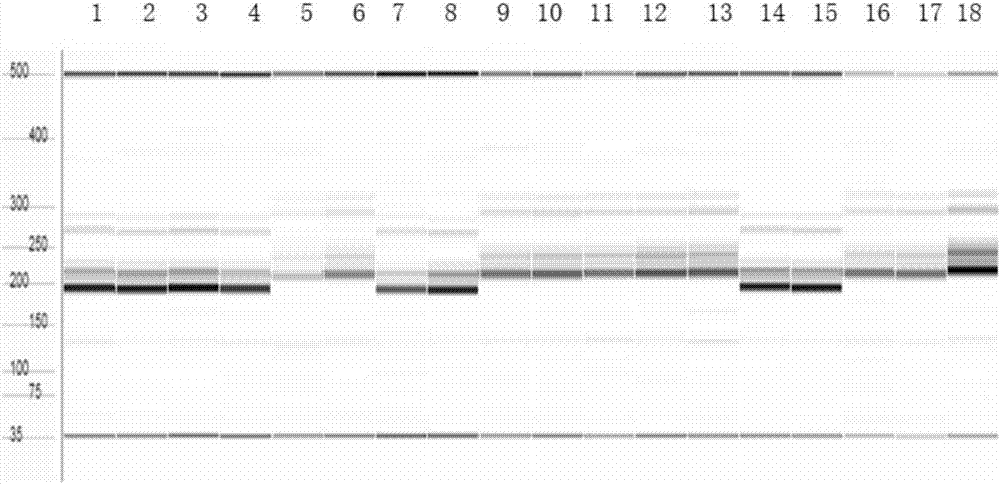 Breeding method of semiprostrate high-yield peanut variety