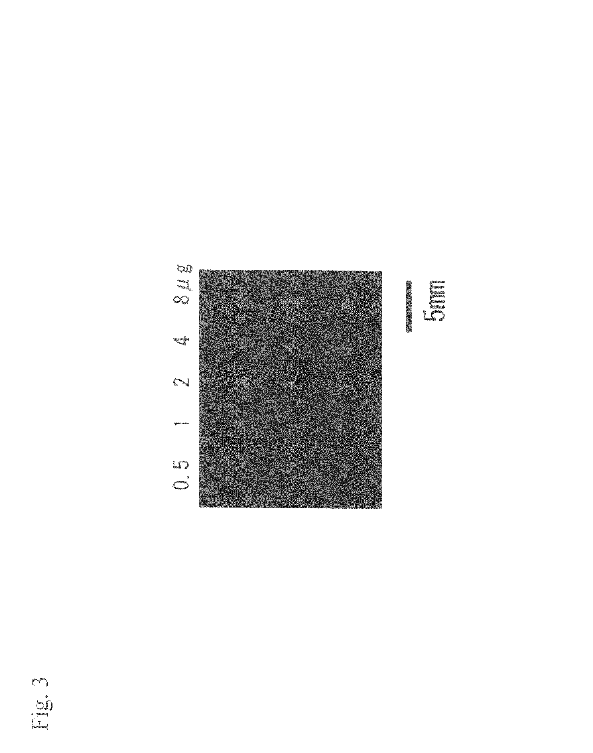 Detection and analysis system for protein array