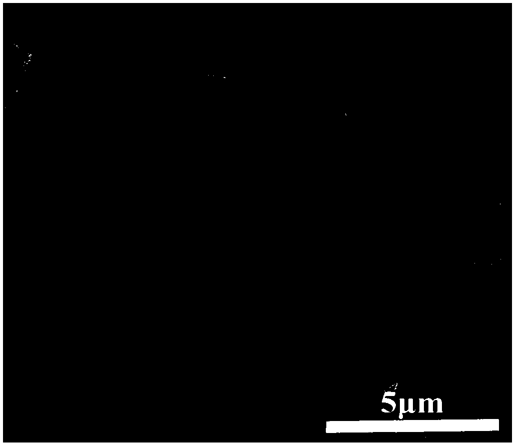 High graphitization three-dimensional carbon nanotube graphene composite material and preparation method and application thereof