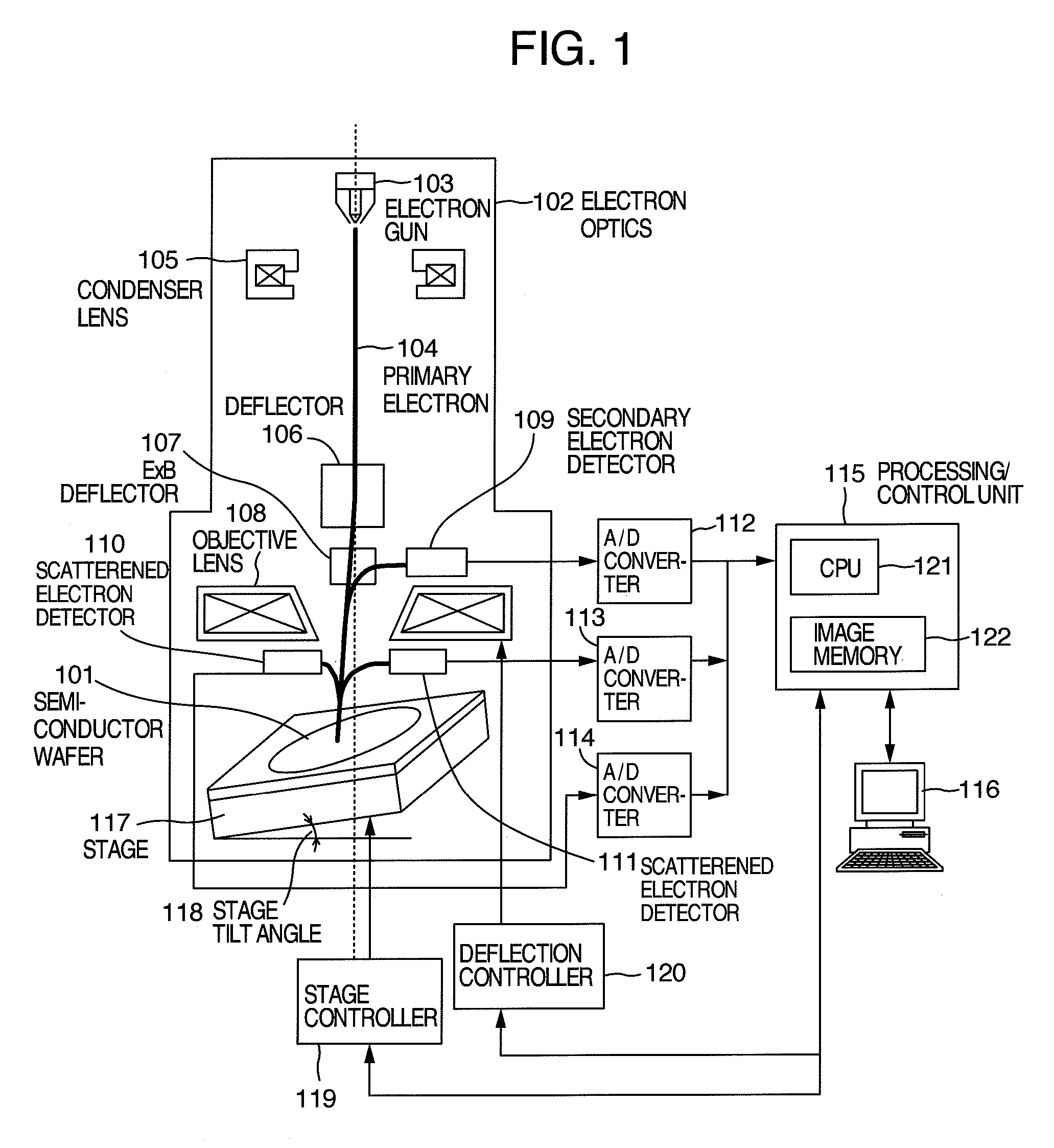 Scanning electron microscope and a method for imaging a specimen using the same