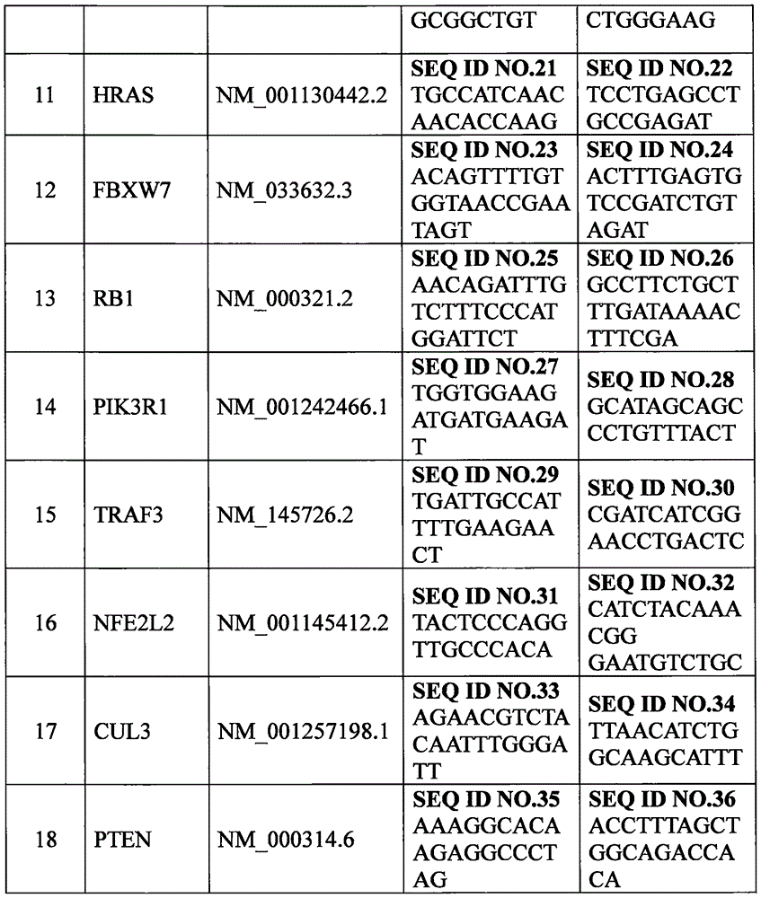 Set of genes for head and neck squamous cell carcinoma (HNSCC) molecular typing and application thereof