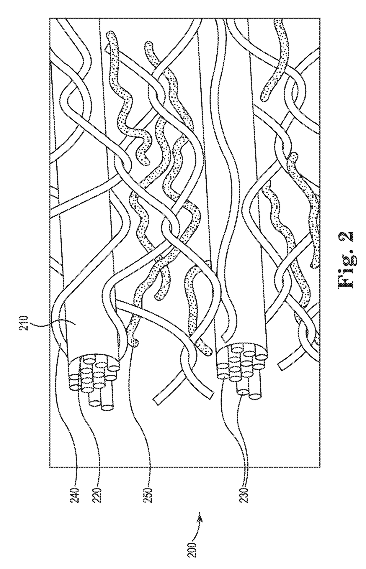 System for co-firing coal and beneficiated organic-carbon-containing feedstock in a coal combustion apparatus