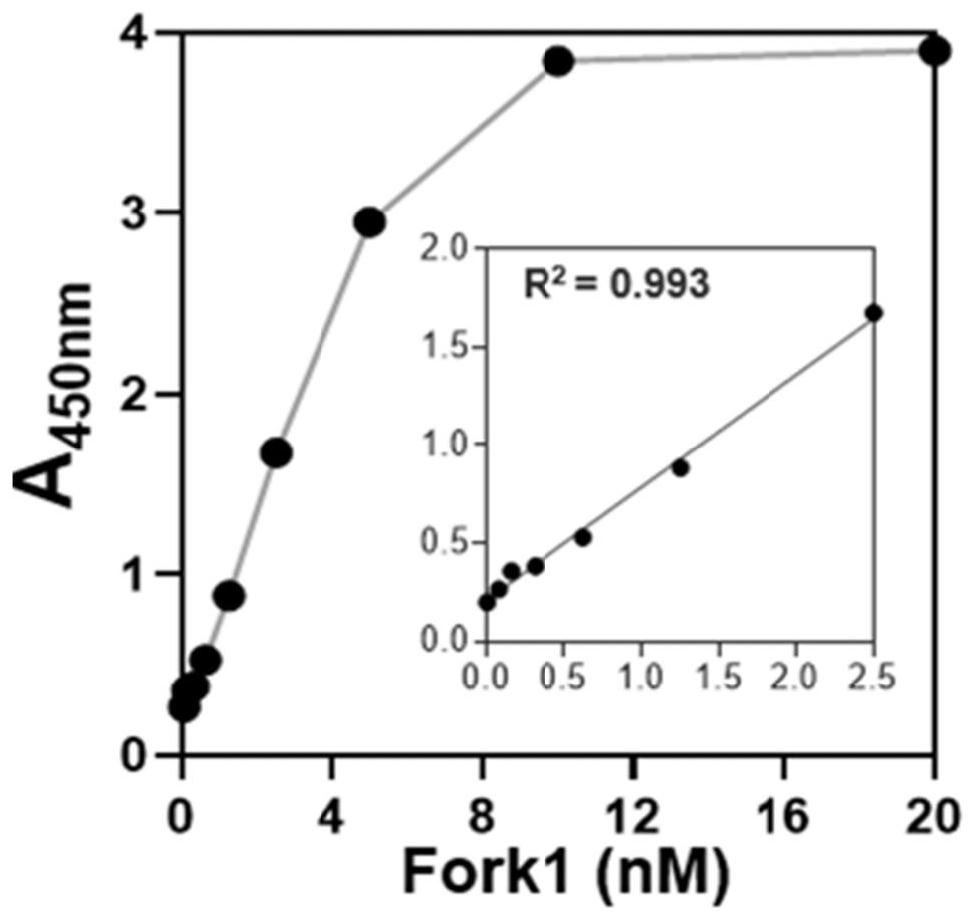 Helicase activity determination method based on double-stranded DNA and application of helicase activity determination method