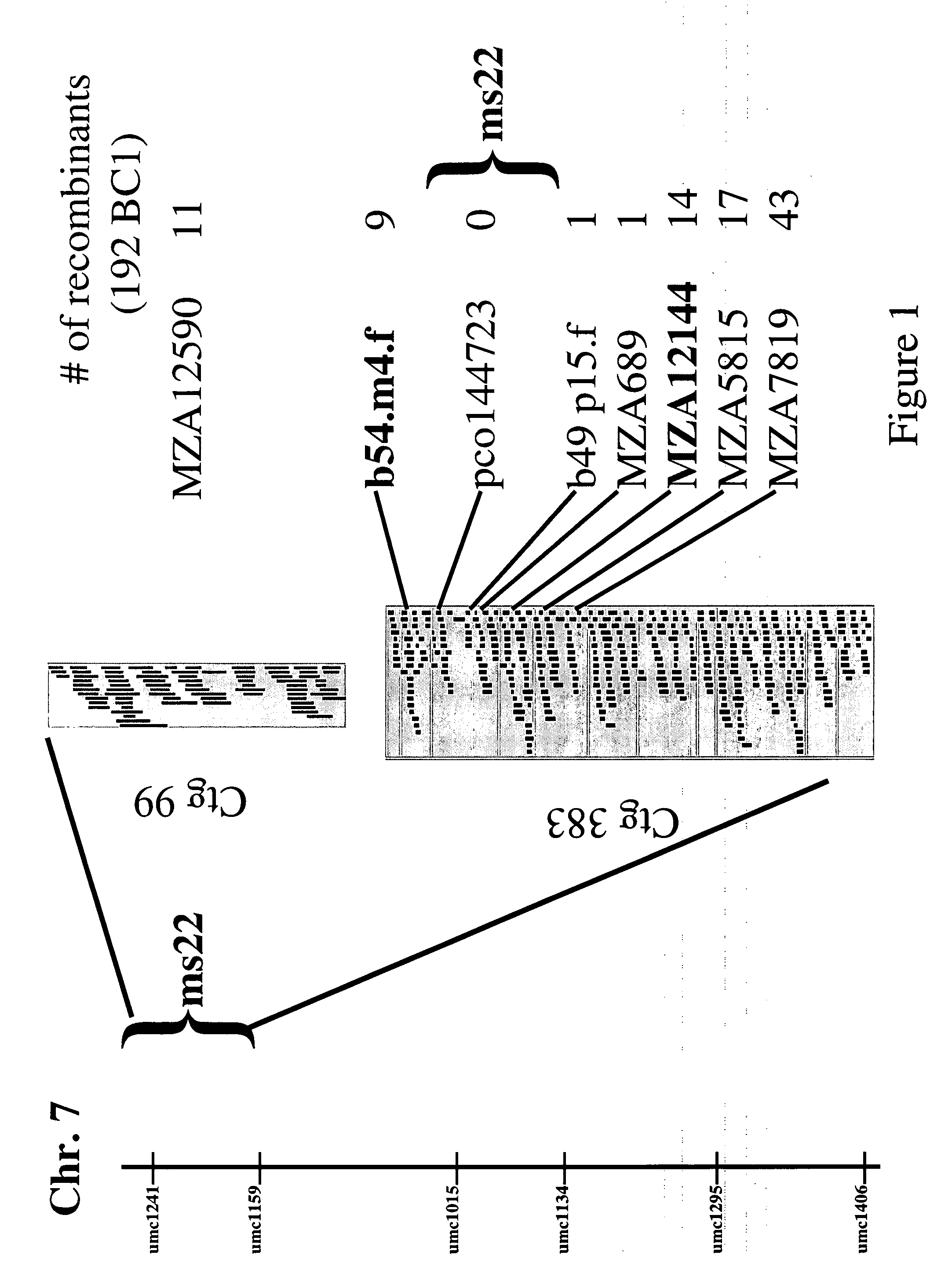 Msca1 nucleotide sequences impacting plant male fertility and method of using same