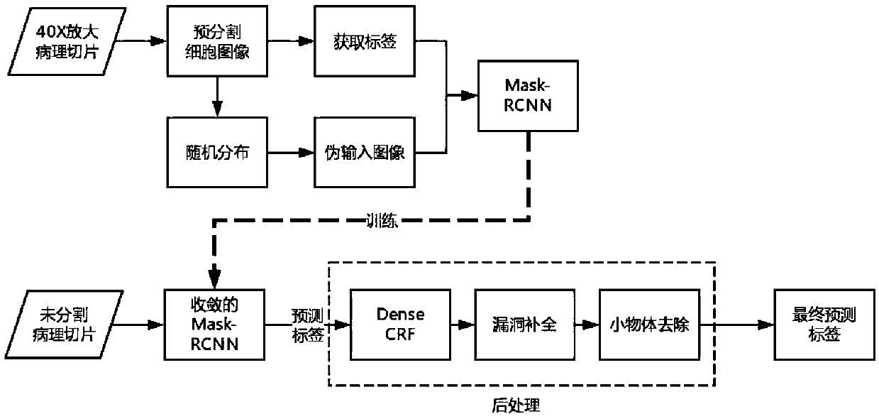 Segmentation method for unconventional cells in pathological section