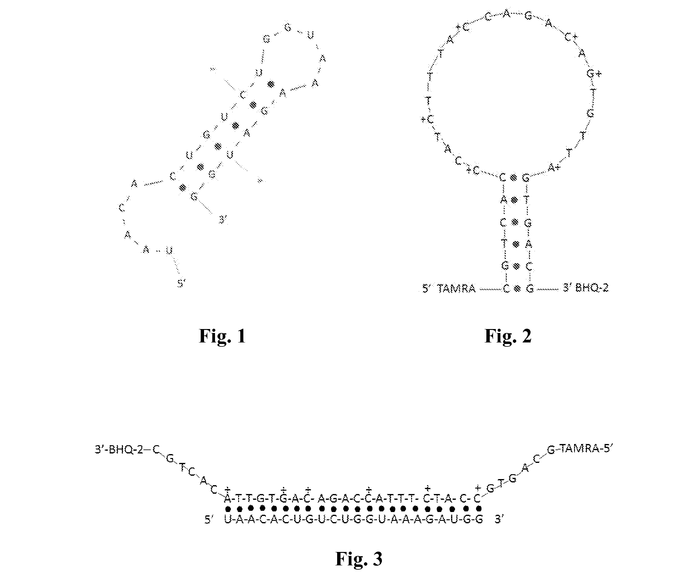 Methods and compositions for multiplexed and ultrasensitive microrna detection