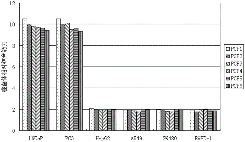 Short-chain polypeptides PCP4 capable of being specifically bound to prostate cancer cells and application of short-chain polypeptides PCP4