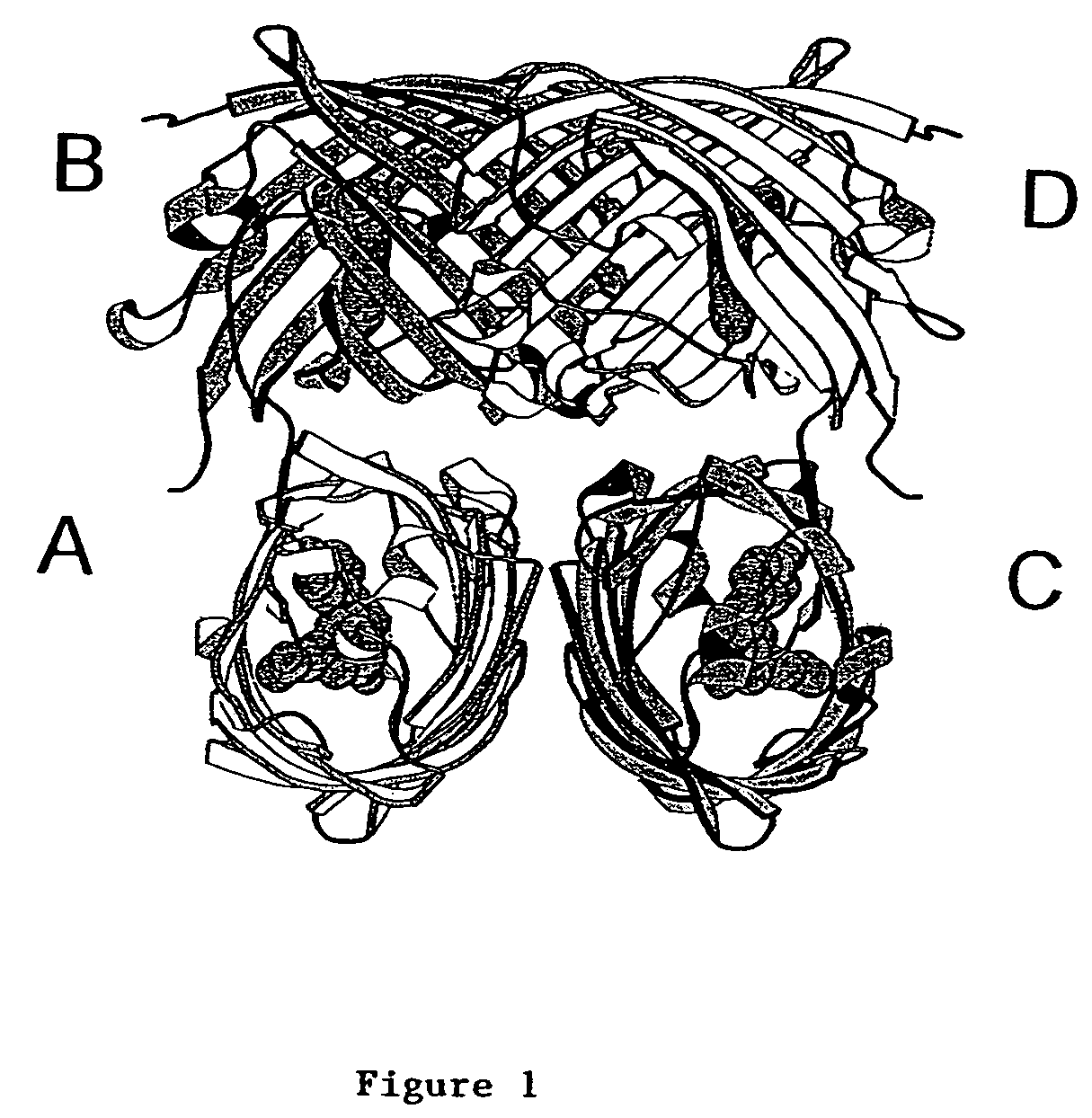 Non-oligomerizing tandem fluorescent proteins