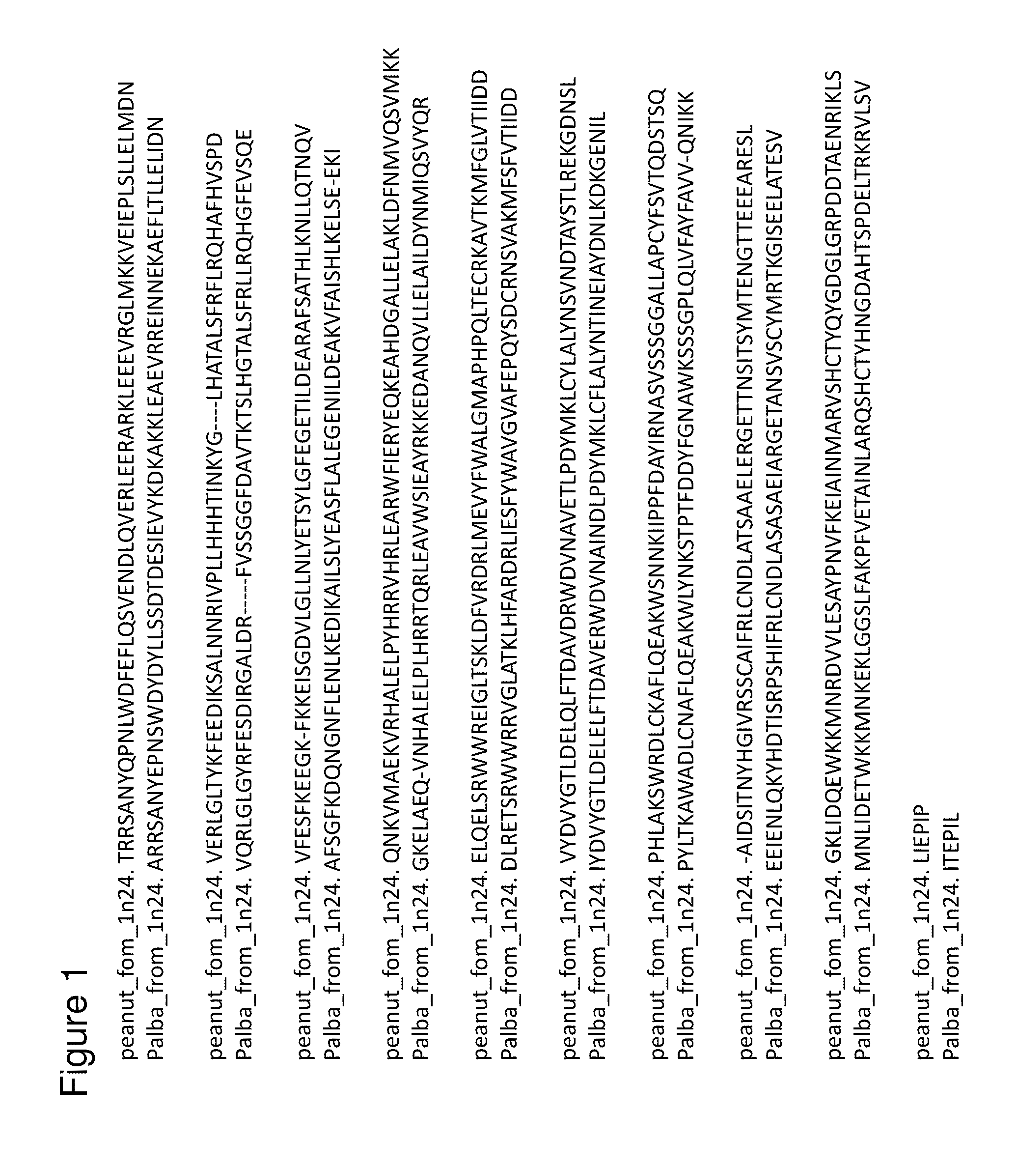 Legume isoprene synthase for production of isoprene