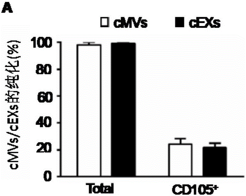 Separation and extraction method for cytomembrane microvesicles (MVs) and exosomes (EXs)