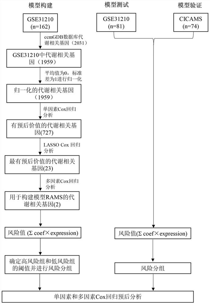 Postoperative recurrence risk prediction system for patients with stage I lung adenocarcinoma and its application