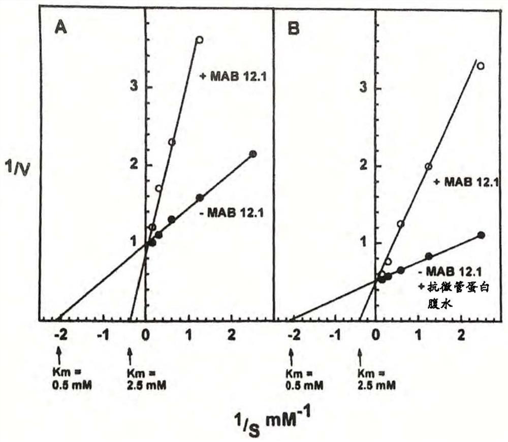 Methods and compositions for early cancer testing and cancer diagnosis before the clinical symptoms of malignant diseases and the method and component