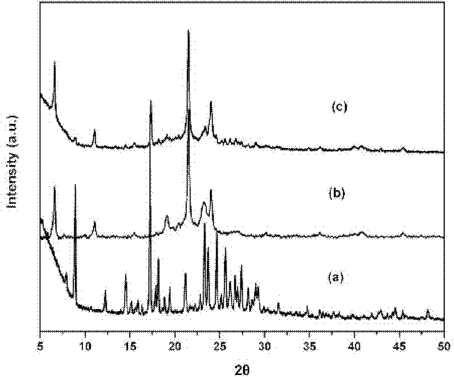 Application of curcumin solid lipid nano-particle serving as medicament for treating asthma