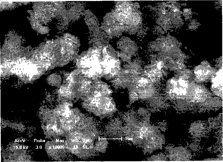 Nickelous hydroxide in positive pole material of alkaline secondary cell and producing method thereof