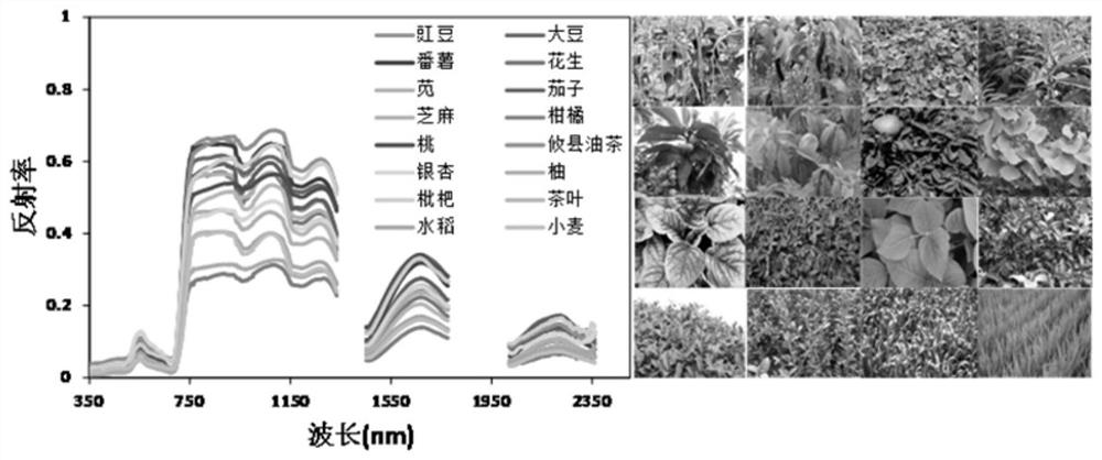 A method for establishing a plant spectral library