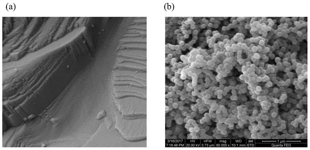 Synergist for water-based drilling fluid and preparation method thereof, water-based drilling fluid and application