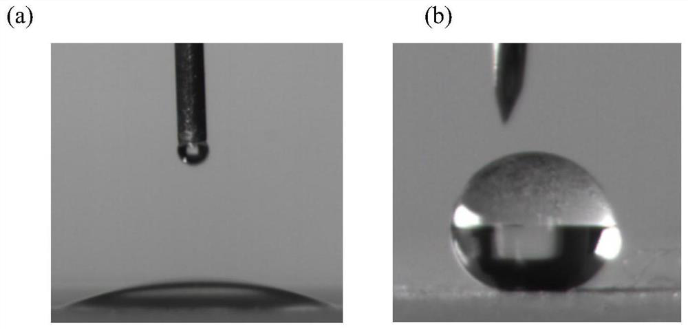 Synergist for water-based drilling fluid and preparation method thereof, water-based drilling fluid and application