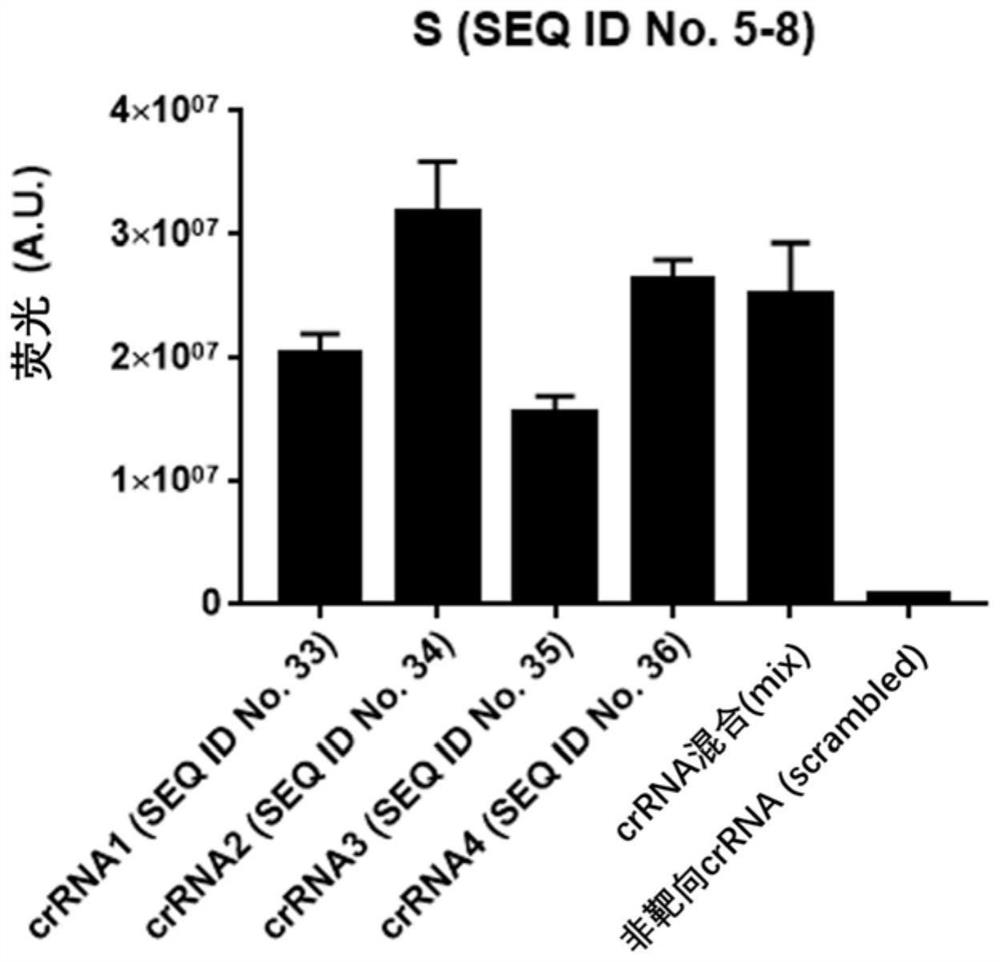 A kit, detection method and application for detecting nucleic acid of respiratory pathogens