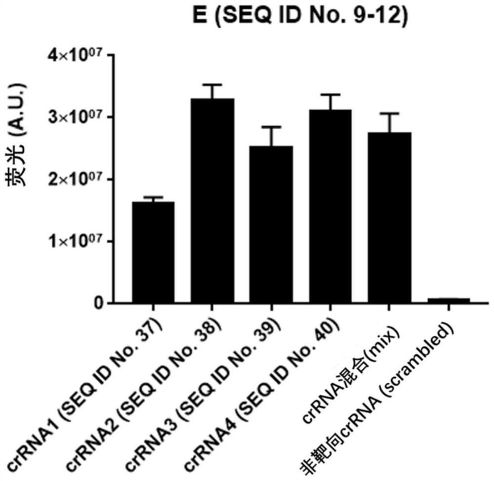 A kit, detection method and application for detecting nucleic acid of respiratory pathogens