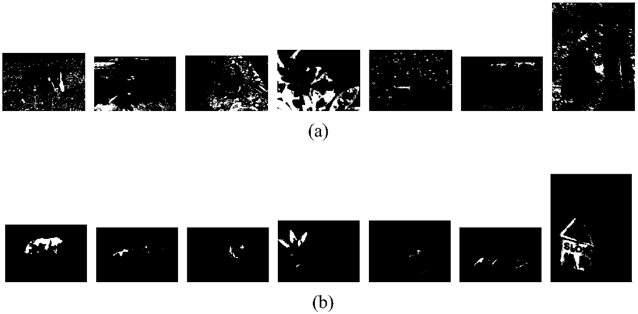 Image visual saliency detection method based on division normalization