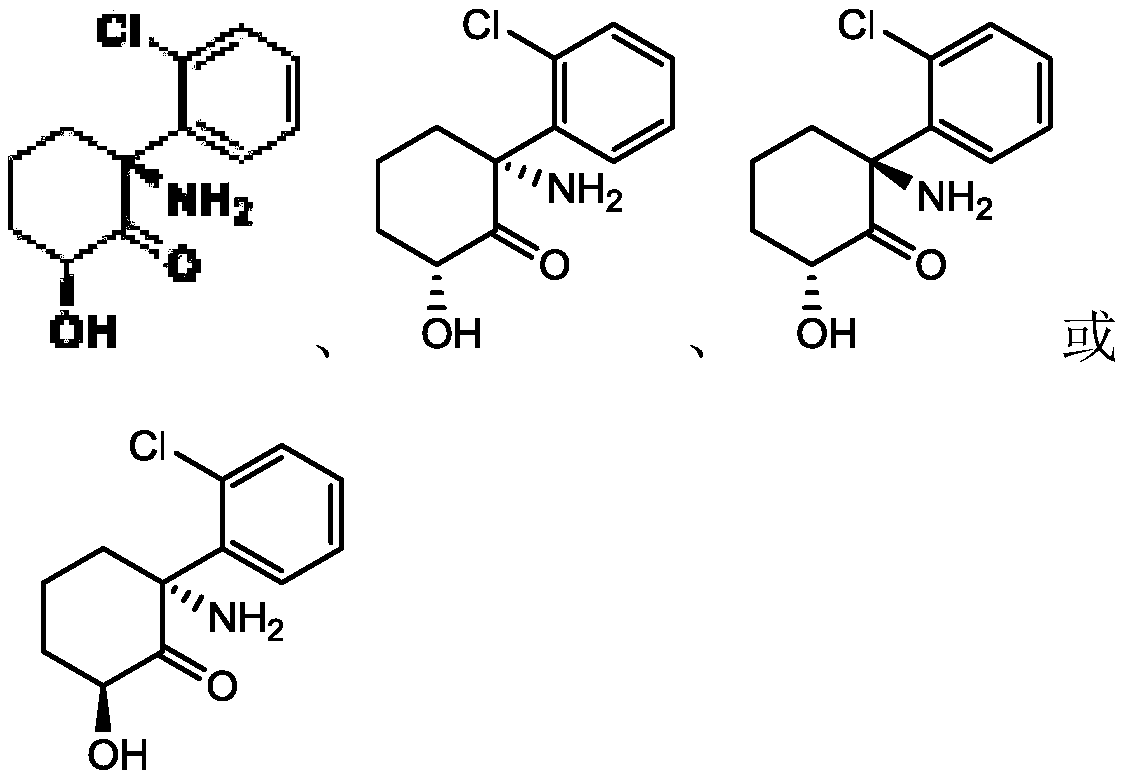 Pharmaceutical composition for treatment of melancholia and neuropathic pain and application thereof