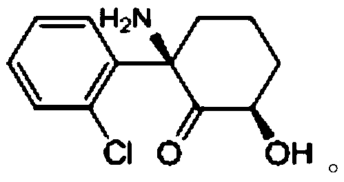 Pharmaceutical composition for treatment of melancholia and neuropathic pain and application thereof