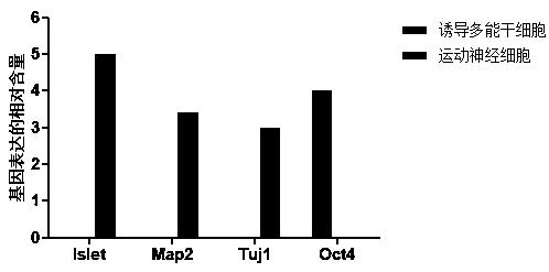 Serum-free culturing system inducing differentiation of pluripotent stem cells into motor neuron cells