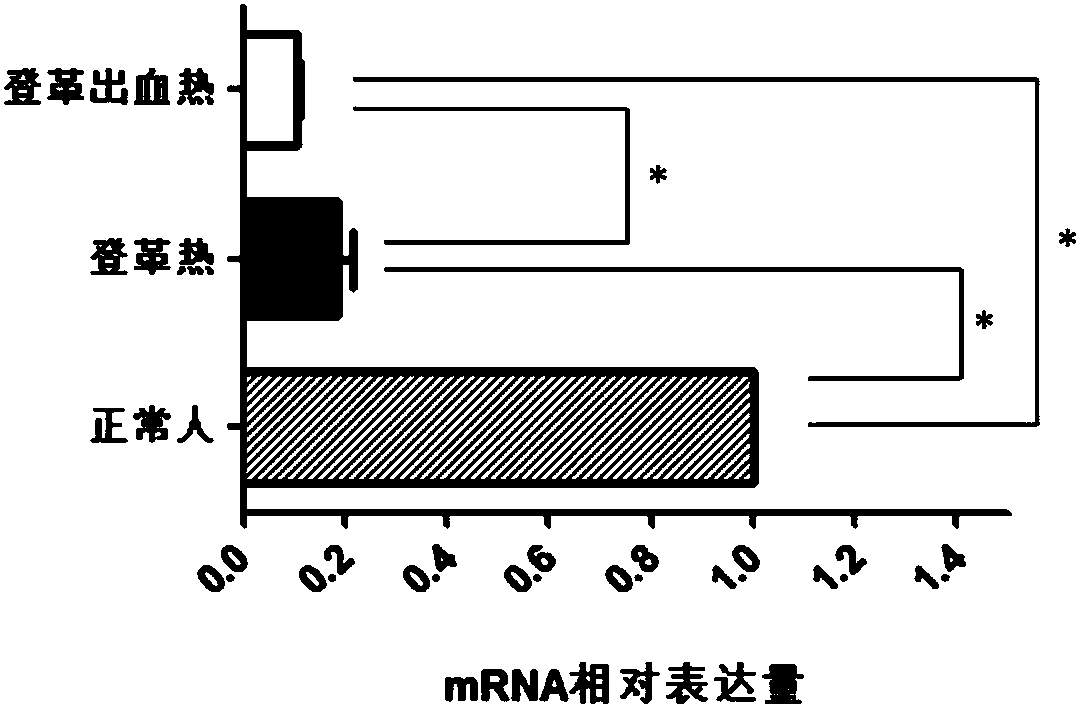 Molecular marker for distinguishing Dengue fever and Dengue hemorrhagic fever