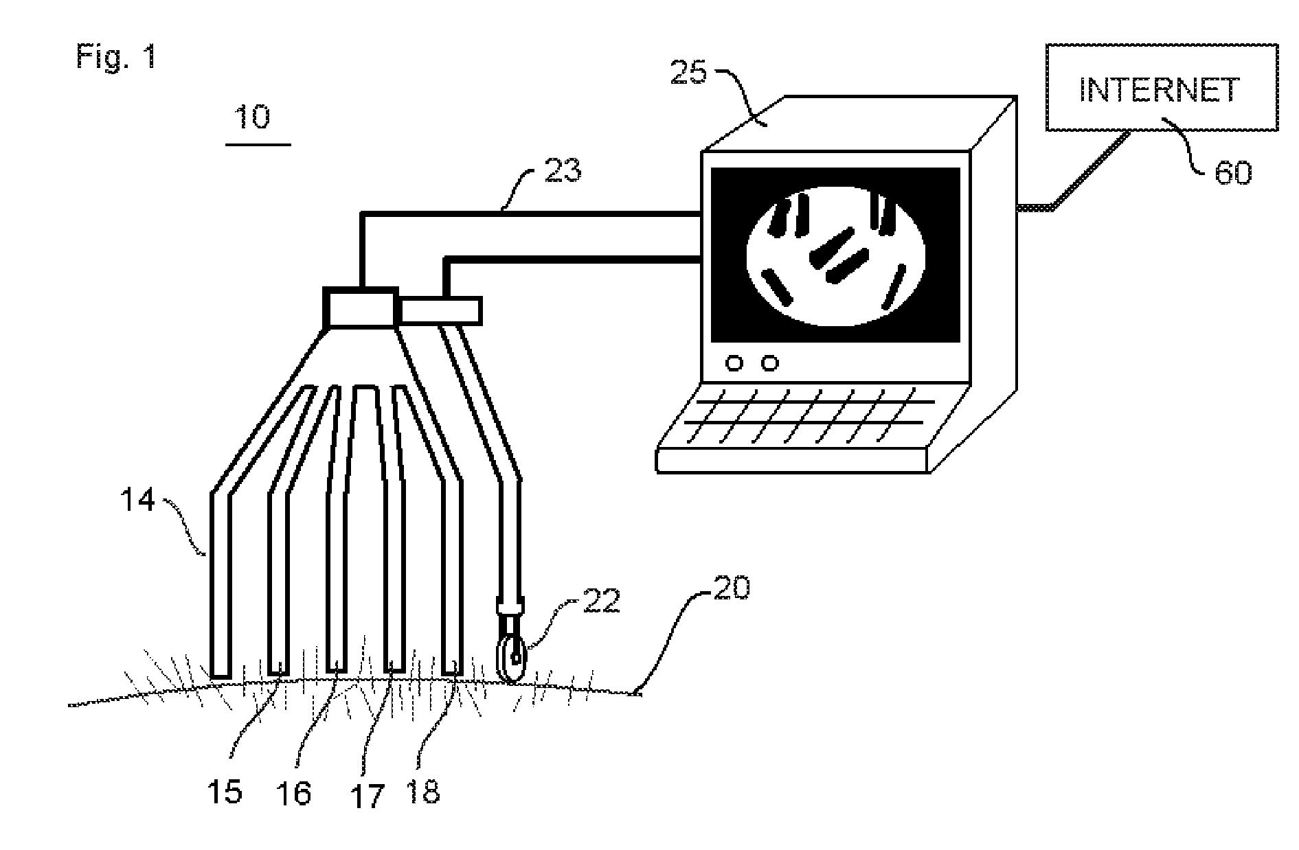 Apparatus and method for mapping hair metric