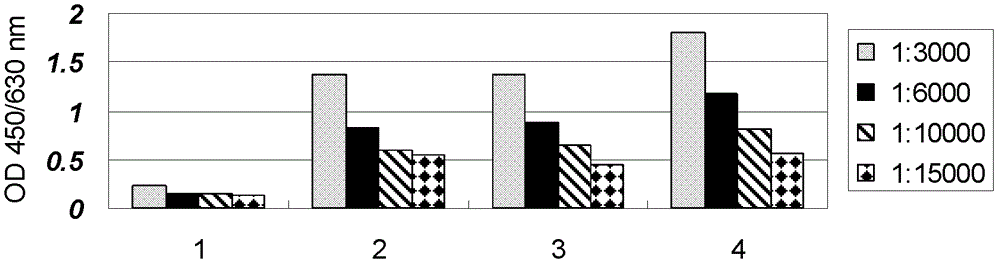 Recombinant single-chain antibody g5-4scfv of anti-human γδtcr monoclonal antibody and its encoding gene and application