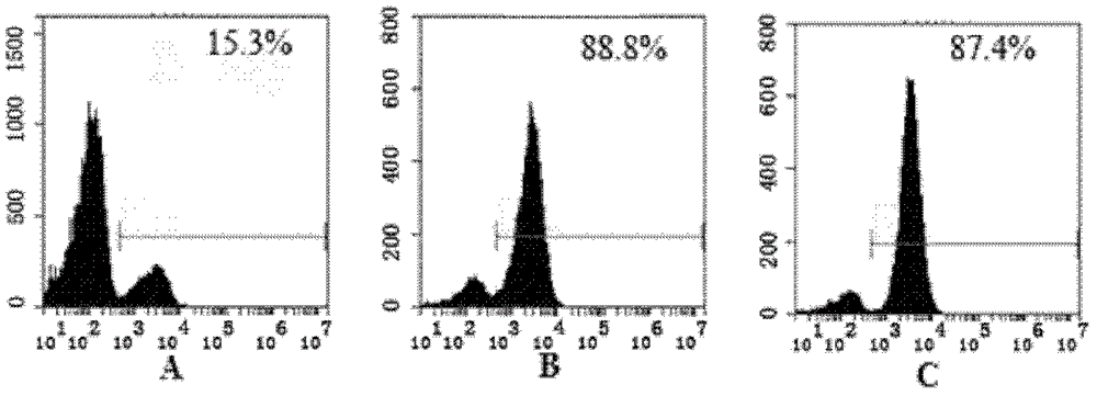 Recombinant single-chain antibody g5-4scfv of anti-human γδtcr monoclonal antibody and its encoding gene and application