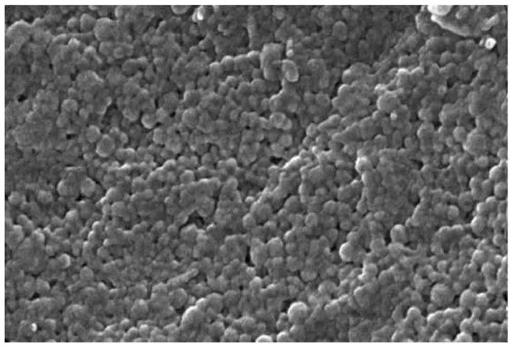 Preparation method of zein-gallic acid composite colloidal particles and emulsion thereof